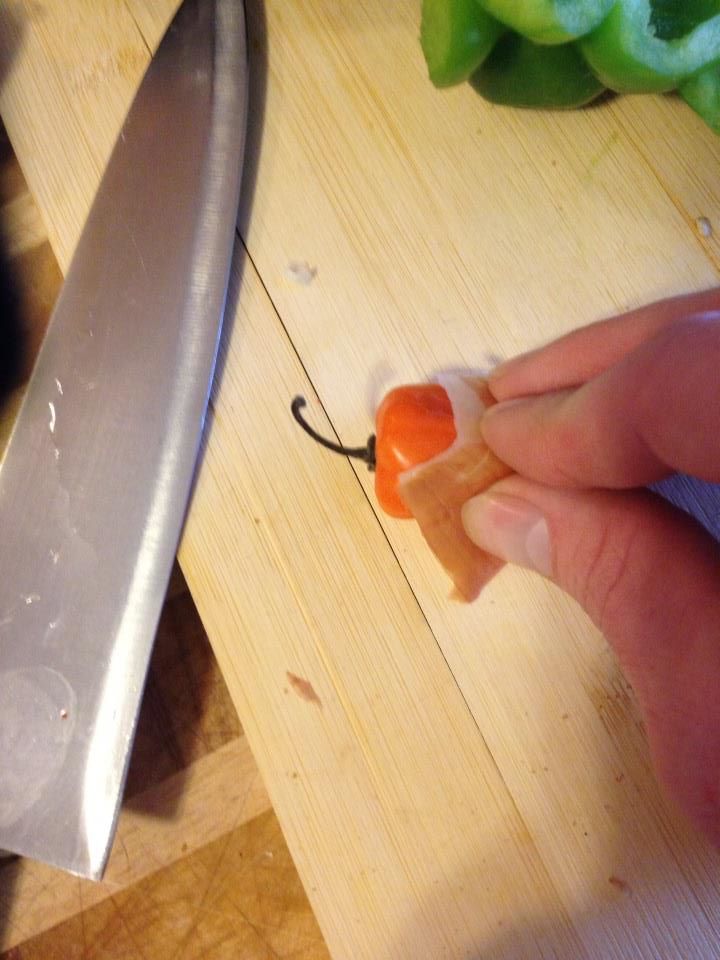 405642_10200234298167335_833570008_n