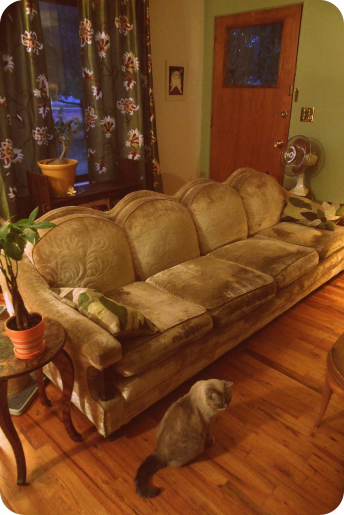 Livingroom_couch