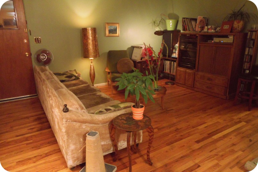 Livingroom_otherview