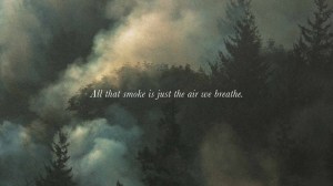 1456602_612914865435118_394977640_n