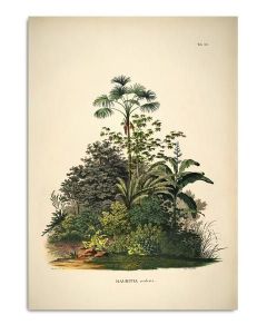 0604305167fb777db46e317a507e617c