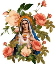 6d8277767cb9dd59b5775b4028c3d5f1